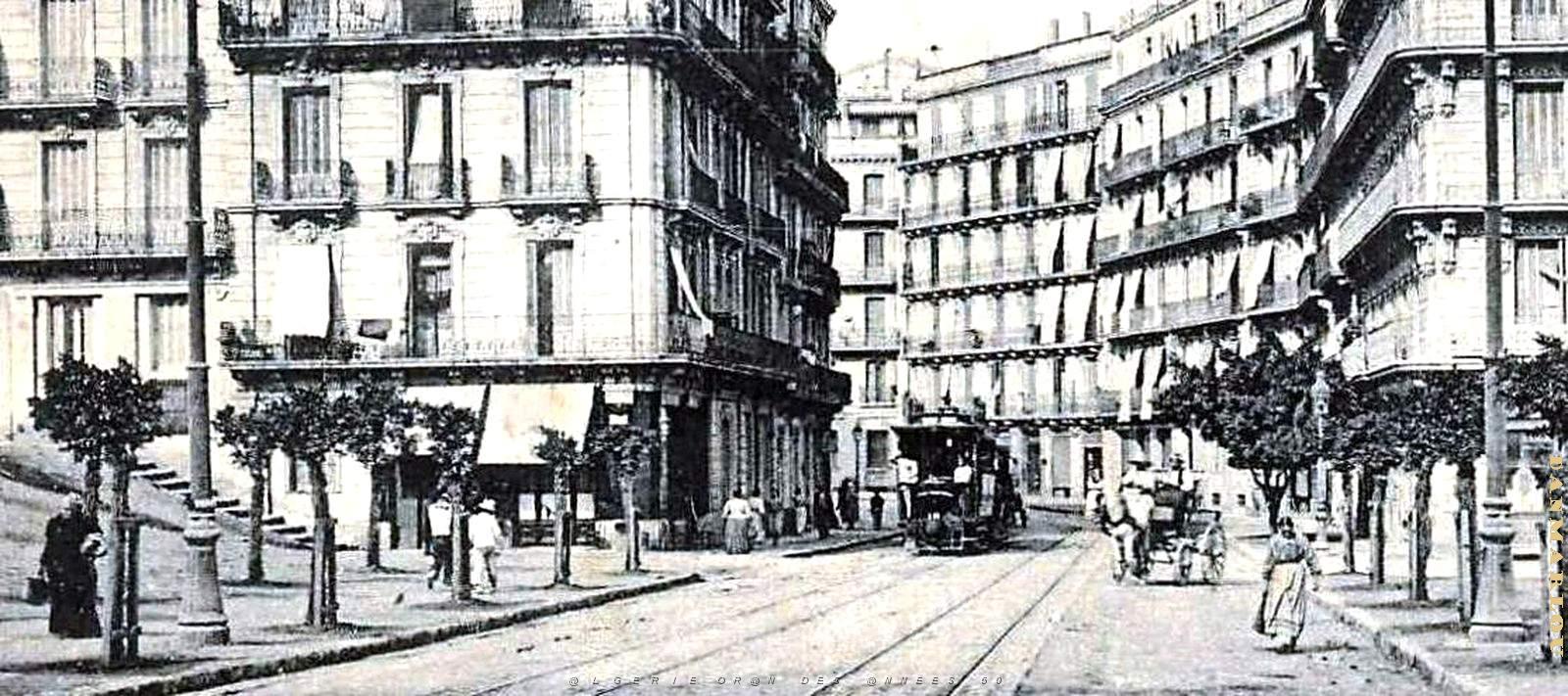 2619- Alger - Avenue de Bouzareah2.jpg